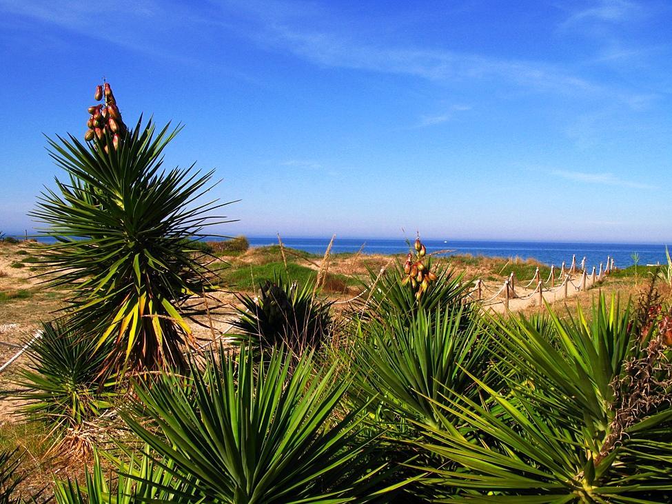Llanos Camping 3*
